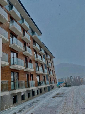 Orbi Palace Bakuriani D106